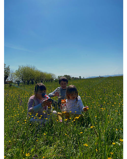 3 Sprouts Borraccia con Cannuccia di Silicone - Volpe - 350 ml - senza BPA e ftalati Borracce non Termiche