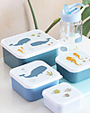 A Little Lovely Company Set di Contenitori Porta Pranzo e Porta Merenda - Oceano Porta Merenda