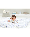 Aden & Anais Set 4 Copertine Swaddles - Fantasia Azzurro - 100% Mussola di Cotone Swaddle di Mussola