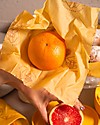 Apepak Involucri In Cera D'Api Per Alimenti - Set da 2 Pezzi - Medio Contenitori per Alimenti