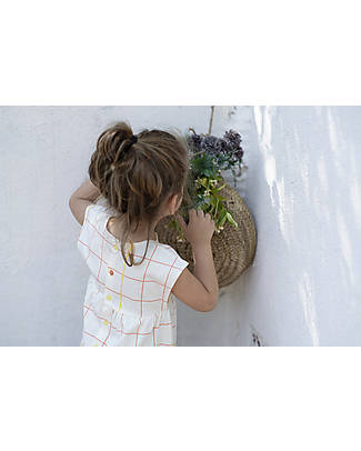 BabyClic Vestito - Grid - 100% Jersey di Cotone Biologico Vestiti_