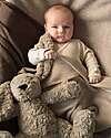 Baby's Only Peluche Coniglietto Bibi con Suoni Bianchi, Ninne Nanne e Luce Notturna - Taupe - con Rilevamento del Pianto - Dalla nascita Peluche