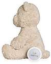Baby's Only Peluche Orsetto Bo con Suoni Bianchi, Ninne Nanne e Luce Notturna - Sabbia - con Rilevamento del Pianto - +o mesi Peluche