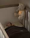 Baby's Only Peluche Orsetto Bo con Suoni Bianchi, Ninne Nanne e Luce Notturna - Taupe - con Rilevamento del Pianto - +0 mesi Peluche