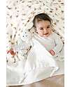 Bamboom Coperta Culla - Jersey Print - 100 x 75 cm - Farfalle - Bambù e Cotone + Spugna Peluche Coperte