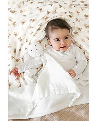 Bamboom Coperta Culla - Jersey Print - 100 x 75 cm - Farfalle - Bambù e Cotone + Spugna Peluche Swaddle di Mussola