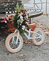 Banwood Bicicletta Senza Pedali First Go, Bianca - Per Bambini da 3 a 5 anni! Biciclette senza Pedali