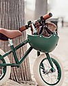 Banwood Bicicletta Senza Pedali First Go + Casco Classico per Biciclette Per Bambini - Verde Scuro - da 3 a 5 anni! Biciclette senza Pedali