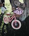 Banwood Bicicletta Senza Pedali First Go, Corallo - Per Bambini da 3 a 5 anni! Biciclette senza Pedali