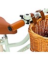 Banwood Bicicletta Senza Pedali First Go Menta - per Bambini da 3 a 5 Anni! Biciclette senza Pedali