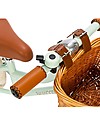 Banwood Bicicletta Senza Pedali First Go Menta - per Bambini da 3 a 5 Anni! Biciclette senza Pedali