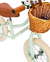 Banwood Bicicletta Senza Pedali First Go Menta - per Bambini da 3 a 5 Anni! Biciclette senza Pedali