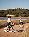 Banwood Bicicletta Senza Pedali First Go, Navy Blu - Per Bambini da 3 a 5 anni! Biciclette senza Pedali