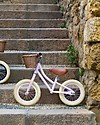Banwood Bicicletta Senza Pedali First Go - Rosa - Per Bambini da 3 a 5 anni! Biciclette senza Pedali