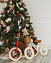 Banwood Bicicletta Senza Pedali First Go, Rossa - Per Bambini da 3 a 5 anni! Biciclette senza Pedali