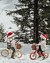 Banwood Bicicletta Senza Pedali First Go, Rossa - Per Bambini da 3 a 5 anni! Biciclette senza Pedali