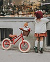 Banwood Bicicletta Senza Pedali First Go, Rossa - Per Bambini da 3 a 5 anni! Biciclette senza Pedali