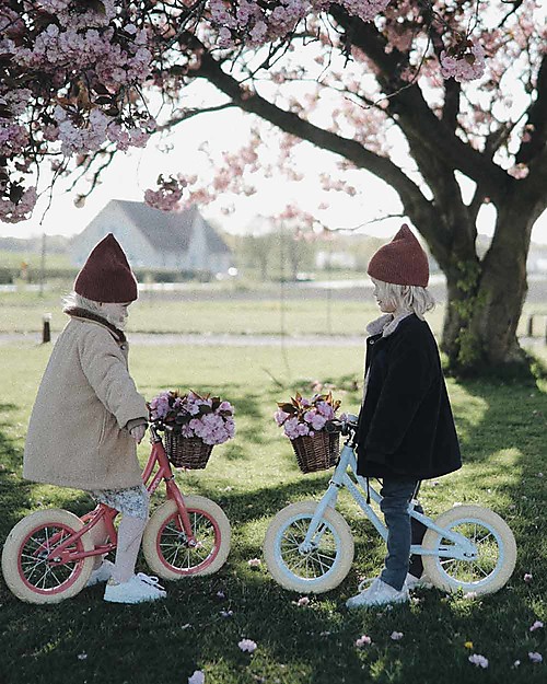 Banwood Bicicletta Senza Pedali First Go, Sky - Per Bambini da 3 a 5 anni! Biciclette senza Pedali