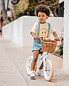 Banwood Bicicletta Senza Pedali First Go, Sky - Per Bambini da 3 a 5 anni! Biciclette senza Pedali
