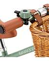 Banwood Bicicletta Senza Pedali First Go, Verde Chiaro - per Bambini da 3 a 5 Anni! Biciclette senza Pedali