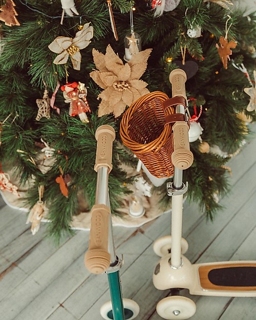 Banwood Monopattino con Cestino Removibile - Verde - da 3 Anni Fino a 50 kg Monopattini