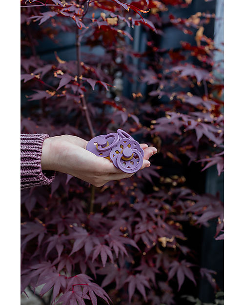 BIBS Ciuccio Boheme - Tettarella Ciliegia in Gomma Naturale - Fossil Grey e Mauve - Senza PBA, PVC e Flatati Ciucci