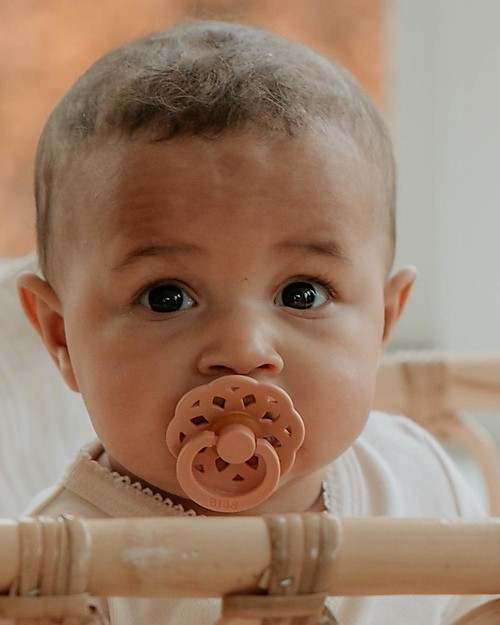 BIBS Ciuccio Boheme - Tettarella Ciliegia in Gomma Naturale - Vaniglia e Pesca - Senza PBA, PVC e Flatati Ciucci