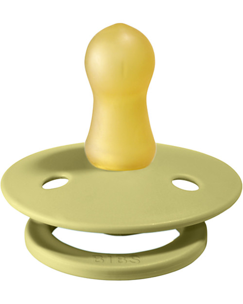 BIBS Ciuccio Colour - Tettarella Ciliegia in Gomma Naturale - Meadow  e Earth - Senza PBA, PVC e Flatati Ciucci