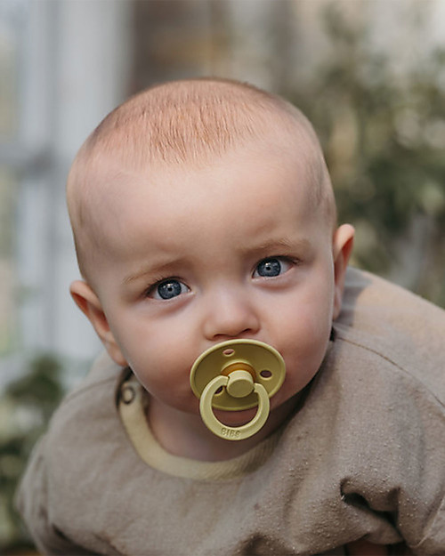 BIBS Ciuccio Colour - Tettarella Ciliegia in Gomma Naturale - Meadow  e Earth - Senza PBA, PVC e Flatati Ciucci