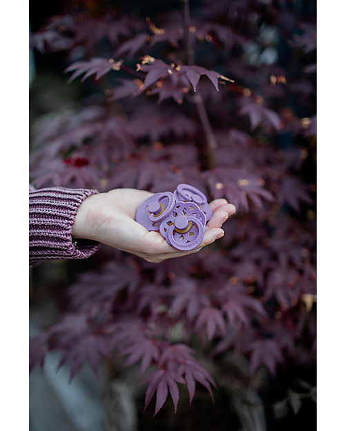 BIBS Ciuccio Colour - Tettarella Ciliegia in Gomma Naturale - Singolo - Mauve - Senza PBA, PVC e Ftalati Ciucci