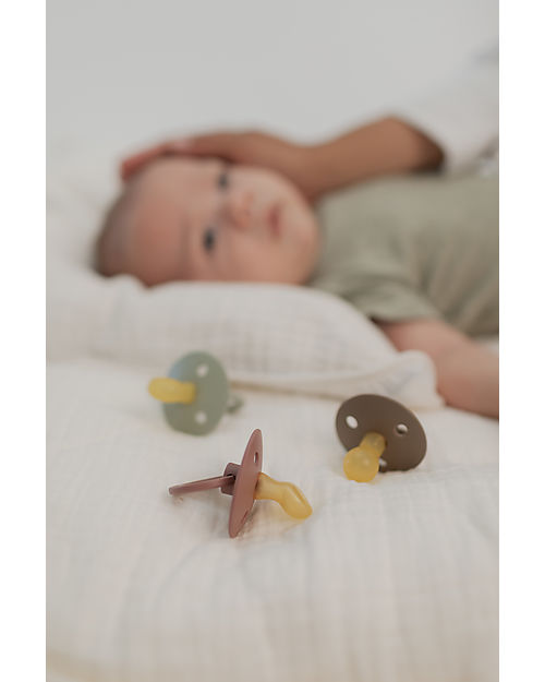 BIBS Ciuccio Colour - Tettarella Simmetrica in Gomma Naturale - Woodchuck e Rosa Cipria - Senza PBA, PVC e Flatati Ciucci