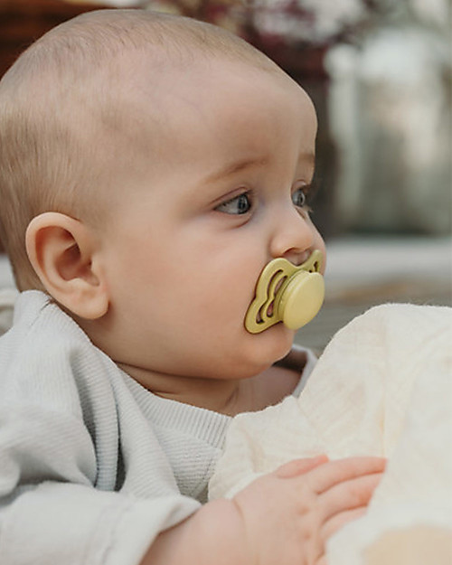 BIBS Ciuccio Supreme - Tettarella Simmetrica in Silicone - Meadow  e Earth - Senza PBA, PVC e Flatati Ciucci