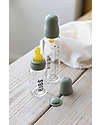 BIBS Set Completo Biberon in Vetro -Verde Salvia - 225ml Riciclabile e Lavabile in Lavastoviglie! - Nuovo Design Biberon_