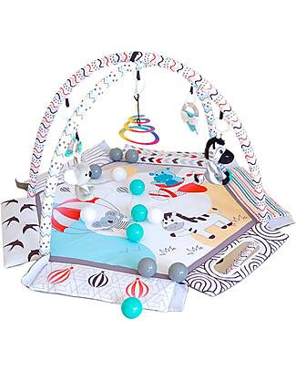Bo Jungle 2 in 1 Palestrina Sensoriale e Piscina di Palline - Midnight Expedition - Multiattività Palestrine