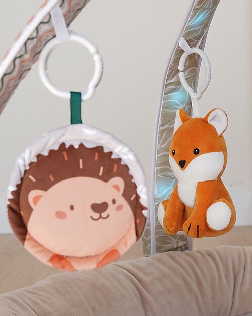 Bo Jungle Palestrina Musicale e Luminosa con Giochi - Multiattività Palestrine