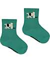 Bobo Choses Calzini Corti - Cane - Verde - Cotone Calzini