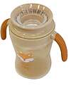 BoJungle Tazza da Apprendimento 360° - Royal Foxy - 240 ml Tazze