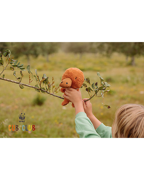 Bon Ton Toys Peluche Paddy L'ornitorinco - Marrone - 18cm Peluche