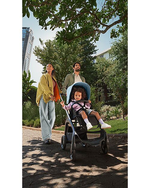 Bugaboo Passeggino Completo  Bugaboo Dragonfly - Telaio Seduta e Cappottina - Black Forest Green - Ultracompatto dalla Nascita ai 15kg Passeggini Classici