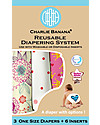 Charlie Banana Set di 3 Pannolini Lavabile Pocket All in One con 6 Inserti Deluxe in Microfibra, Queen - Taglia Unica da 0 a 30 mesi Pannolini Lavabili