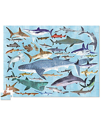 Crocodile Creek Puzzle 100 Pezzi in Tubo con 36 Affascinanti e Terribili Squali! Puzzle