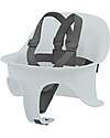 Cybex Cinturine Gold - Light Grey - Per Seggiolone Lemo e Click and Fold
 Seggioloni Pappa