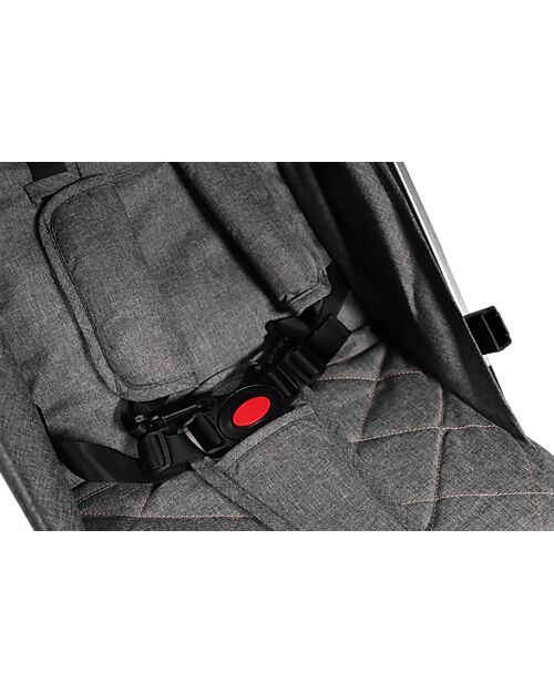 Ding Baby Passeggino Vivo - Grigio/Argento - Schienale Regolabile - Fino a 22kg Passeggini Leggeri