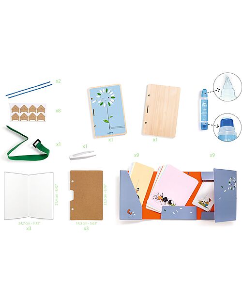 Djeco Cofanetto Creativo Stampe e Dipinti - Ispirational Nature Giochi Creativi