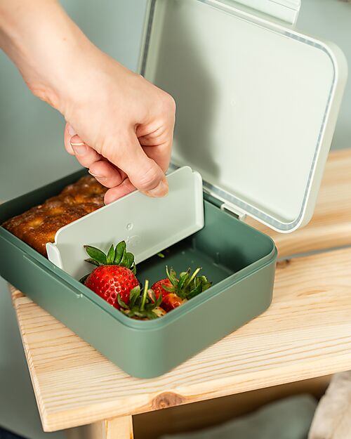 Done By Deer Portapranzo con Divisorio - Tiny Trails - Verde - 17,5 x 13 x 6,5 cm - 100% PP Alimentare Porta Merenda