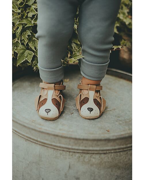 Donsje Scarpe in Pelle Spark Special - Saint Bernard - Chiusura in Velcro Sandali