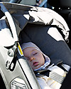 Doona Doona+, Seggiolino Auto con Ruote 2-in-1, Grigio - Approvato come passeggino! Seggiolini Auto Gruppo 0+/1