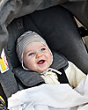 Doona Doona+, Seggiolino Auto con Ruote 2-in-1, Grigio - Approvato come passeggino! Seggiolini Auto Gruppo 0+/1