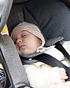 Doona Doona+, Seggiolino Auto con Ruote 2-in-1, Grigio - Approvato come passeggino! Seggiolini Auto Gruppo 0+/1