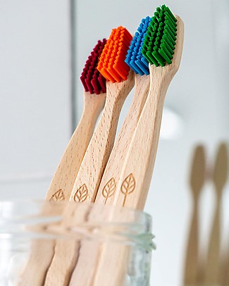EcoLiving Spazzolino in Legno di Faggio - Verde - Certificato FSC Dentifricio e Spazzolini
